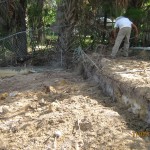 Seawall - Before