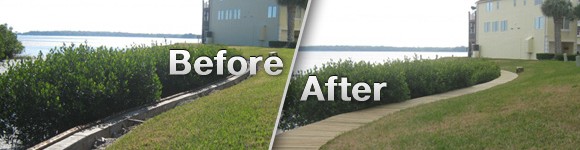 dock-sidewalk dock-sidewalk
